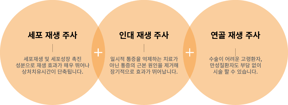 세포재생주사·인대재생주사·연골재생주사로 구성된 DNA 주사 성분 안내