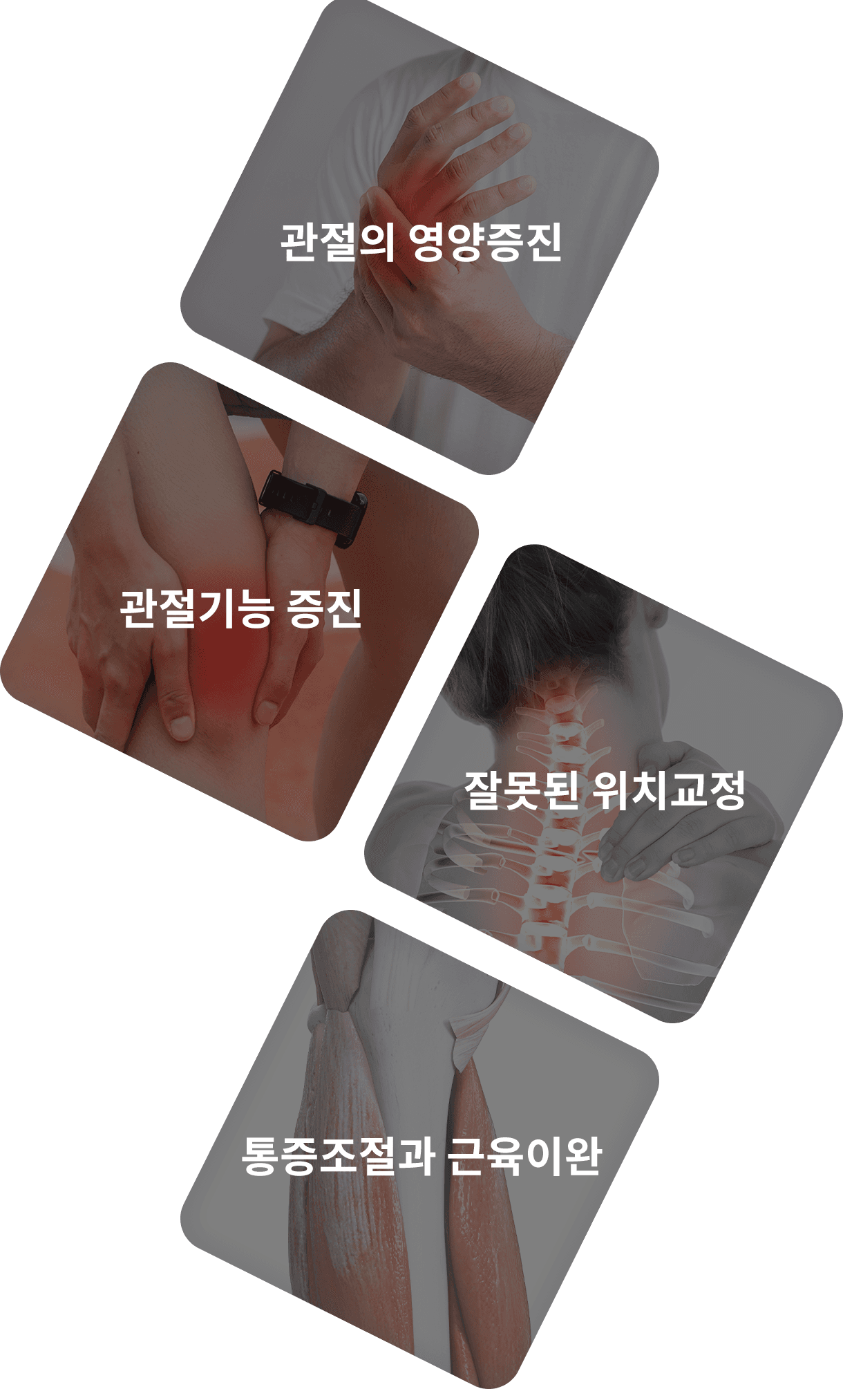 관절의 영양증진, 관절기능 증진, 잘못된 위치교정, 통증조절과 근육이완 등 수술 후 재활치료 효과를 정리한 도해